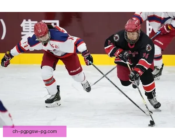 冰球锦标赛:热血激战,冠军之路 冰球锦标赛:热血激战,冠军之路