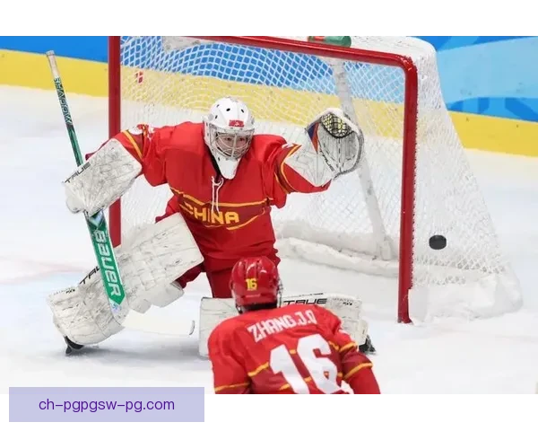 冰球精彩瞬间集锦：赛场激情再现