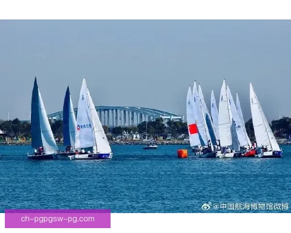 帆船赛事精彩回放：扬帆启航，梦回征程