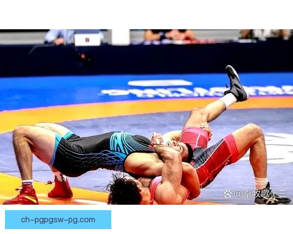 搏击之巅：摔跤巨匠的辉煌荣耀