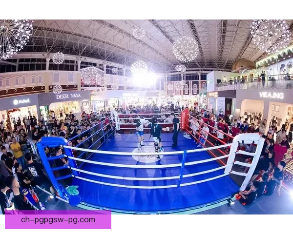 搏击风云：重返荣耀的拳坛传奇