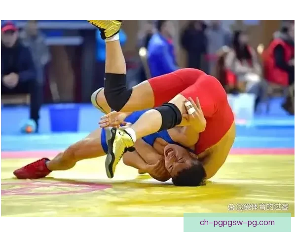 摔跤高手的必杀绝招合集