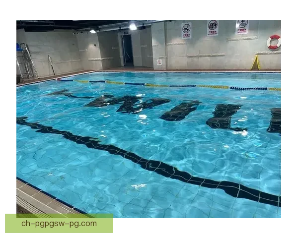 学习跳水技巧，轻松入门指南